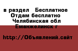  в раздел : Бесплатное » Отдам бесплатно . Челябинская обл.,Еманжелинск г.